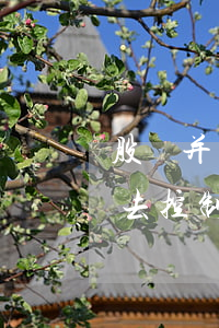 股權并購難不難？一不小心就失去控制權！